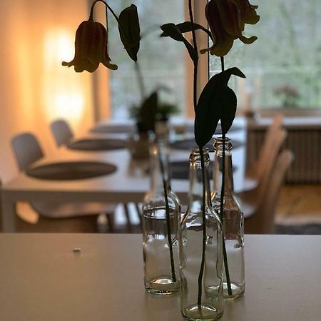 Ferienwohnung Parkblick BRE المظهر الخارجي الصورة
