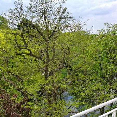 Ferienwohnung Parkblick BRE المظهر الخارجي الصورة